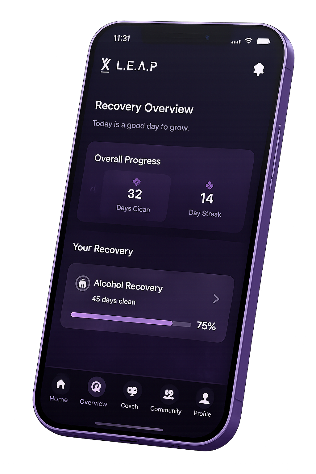Take LEAP Recovery Overview app interface on mobile phone